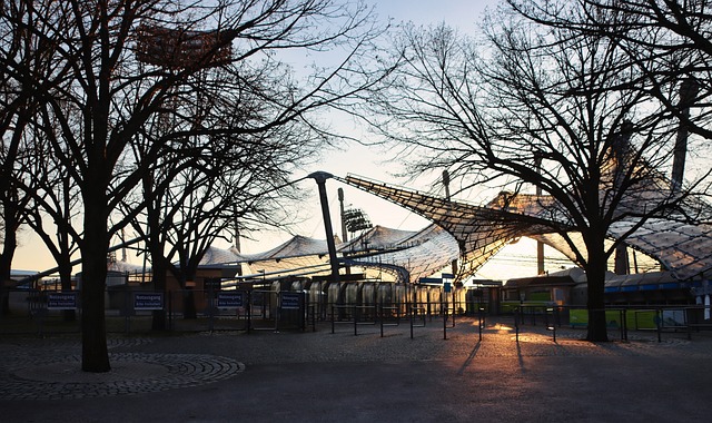 引城市游客